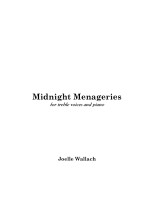 MidnightMenagery Total Score001