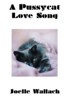 Pussycat Love Song